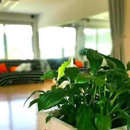 Hostel Tej